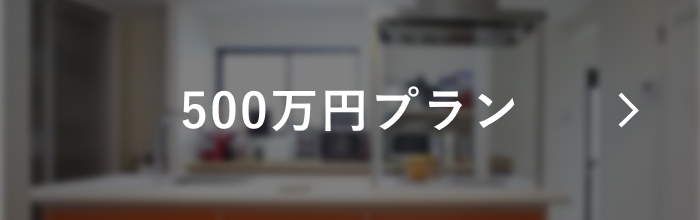 500万円プラン