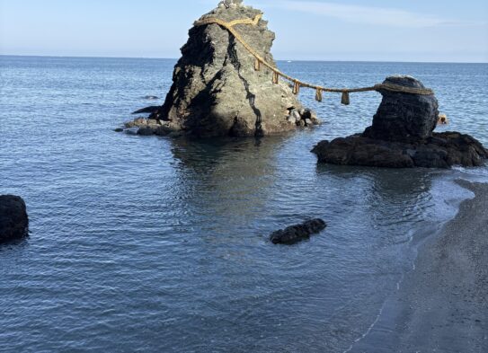 2026年のテーマは「今を楽しむ」！✨ …