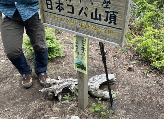 日本コバ登山してきました