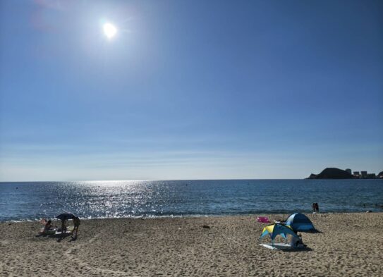 海