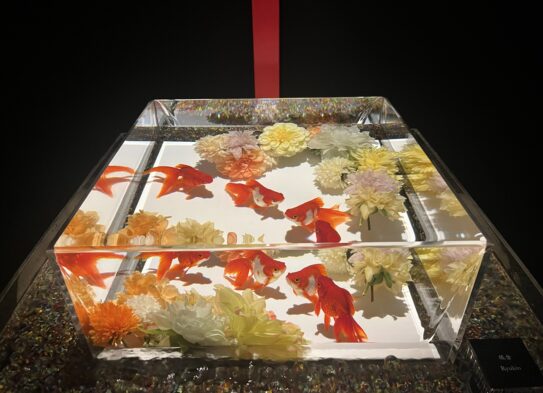 アートアクアリウム展