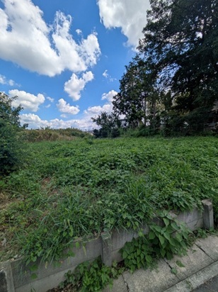江南市宮後町　売地1,002万円　古知野東小/古知野中