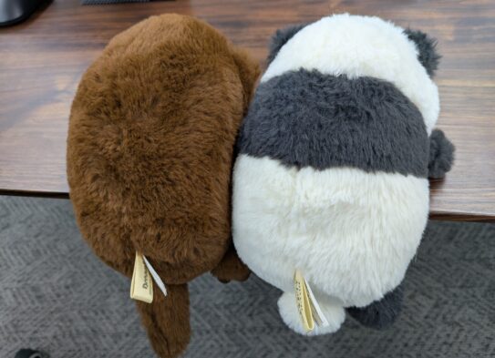 ふんばるず
